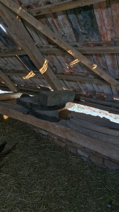 Teasc pentru struguri.