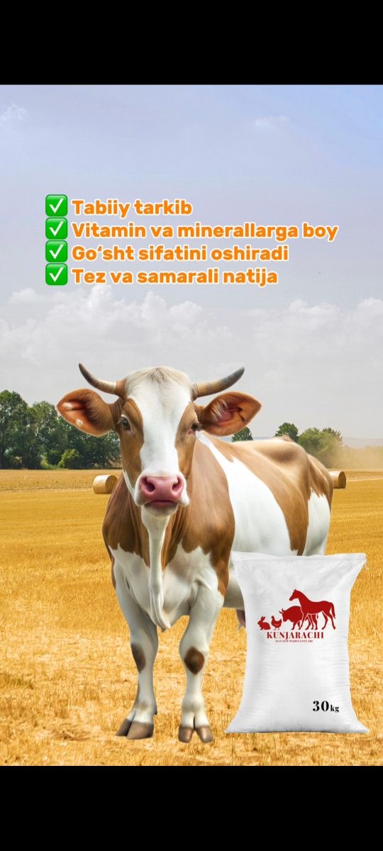 Kunjarachi tabiy eco yem