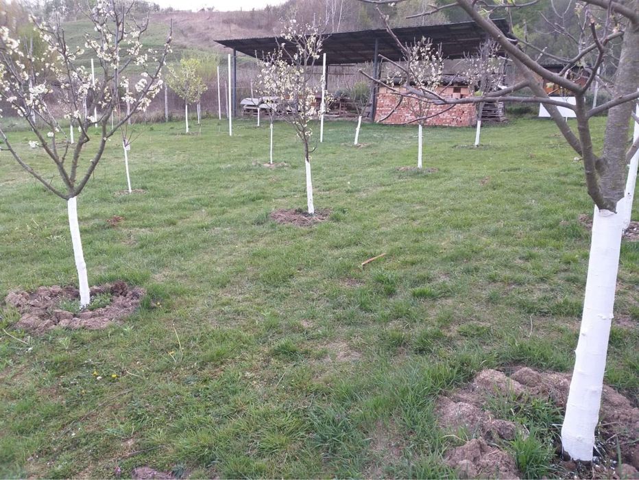 Casa P+2 Individuala