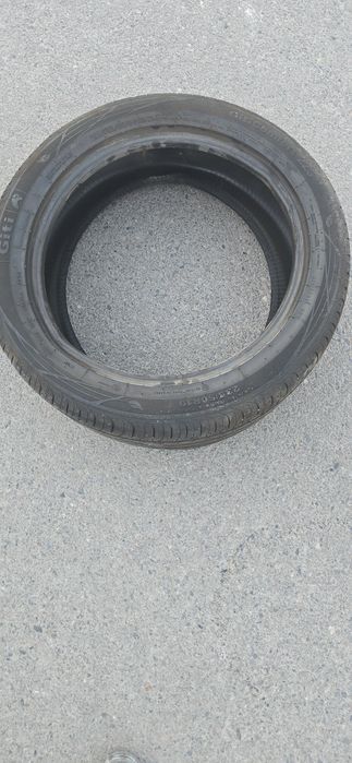 Byd chempion baloni sotiladi