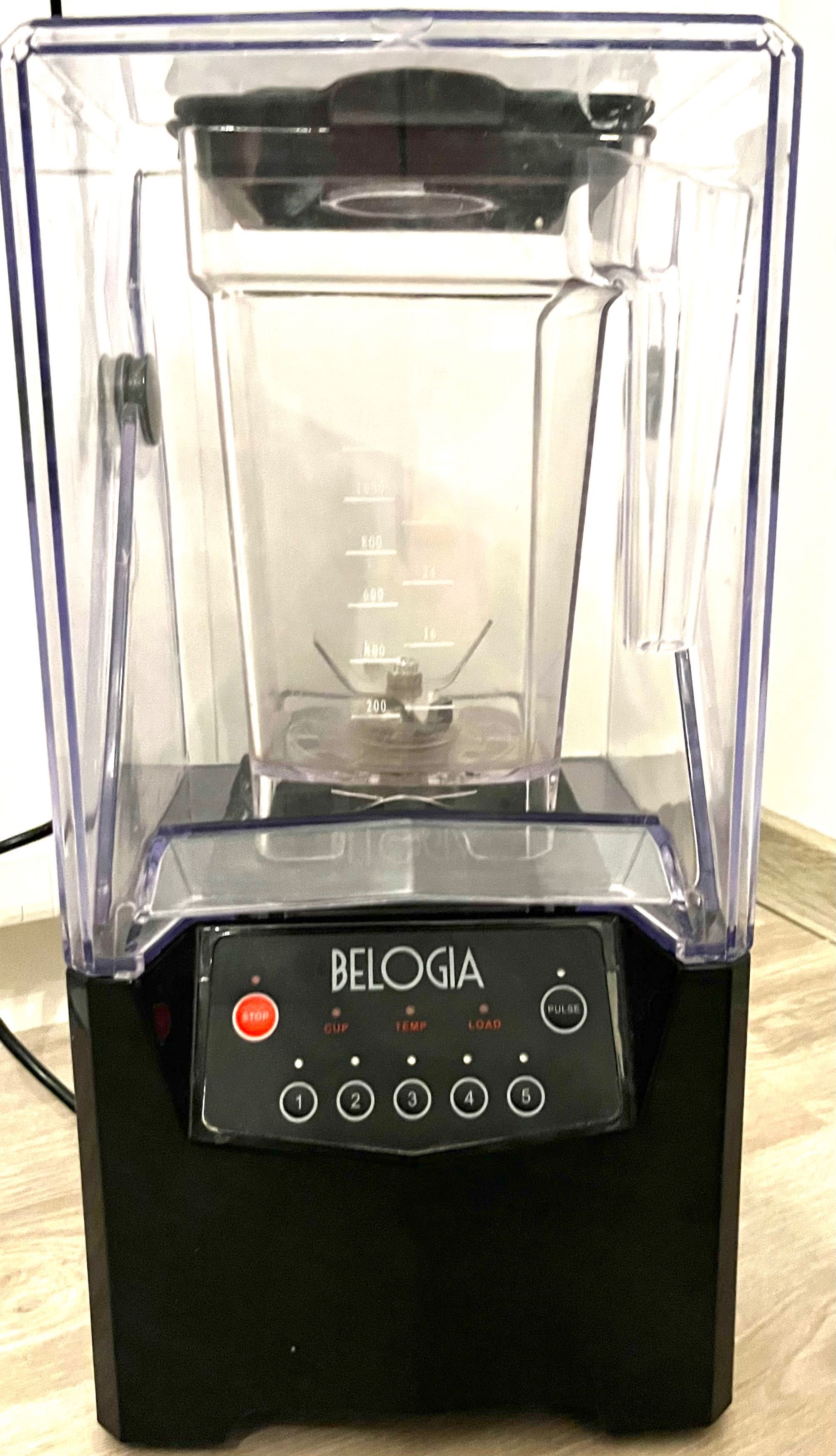 Блендер професионале-6MC, Мощност 800W 1.5L