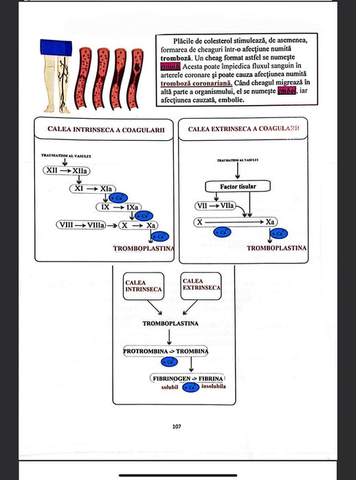 Admitere medicina