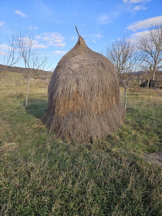 Claii de fan de vânzare