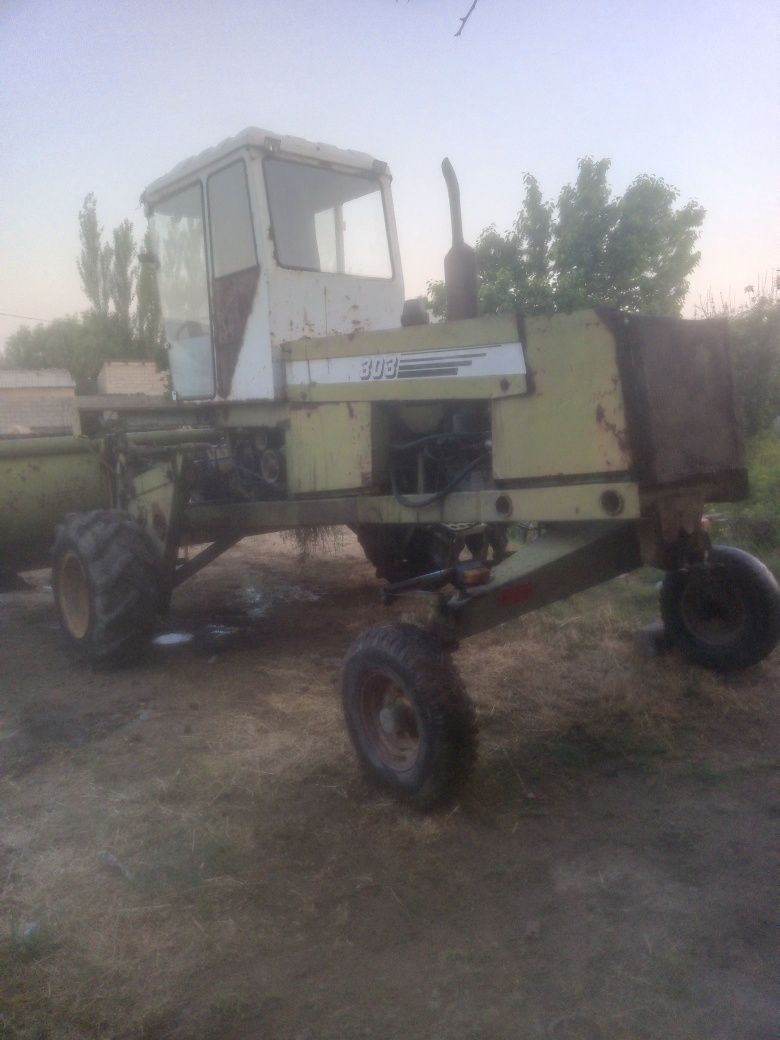 Maral303 beda urgich kambayn