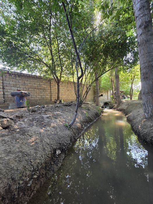 Тошкент тум. Кӯксарой Қ.Ф.Й. Кӯкбӯрик маҳ.  5 хона 11 сот  уй сотилади