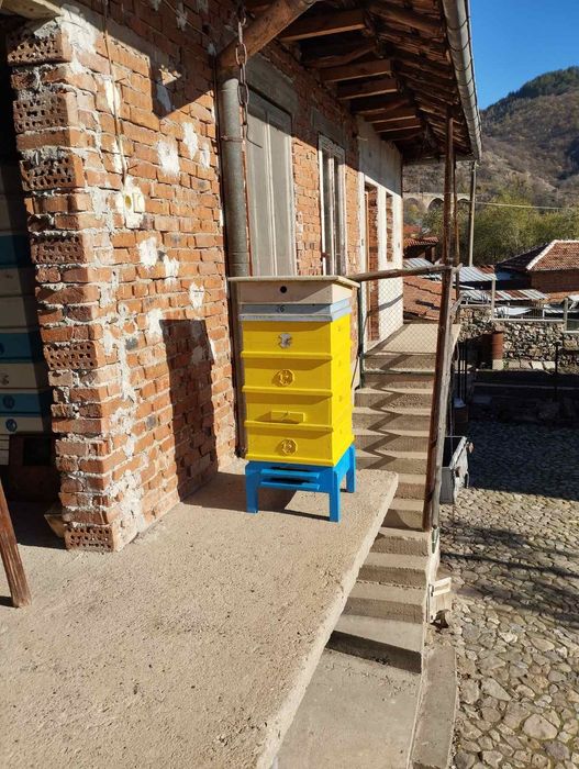 Кошери за пчели/много запазени