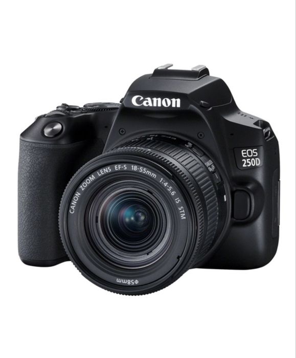 CANON EOS 250D / Специальная сумка / Штатив