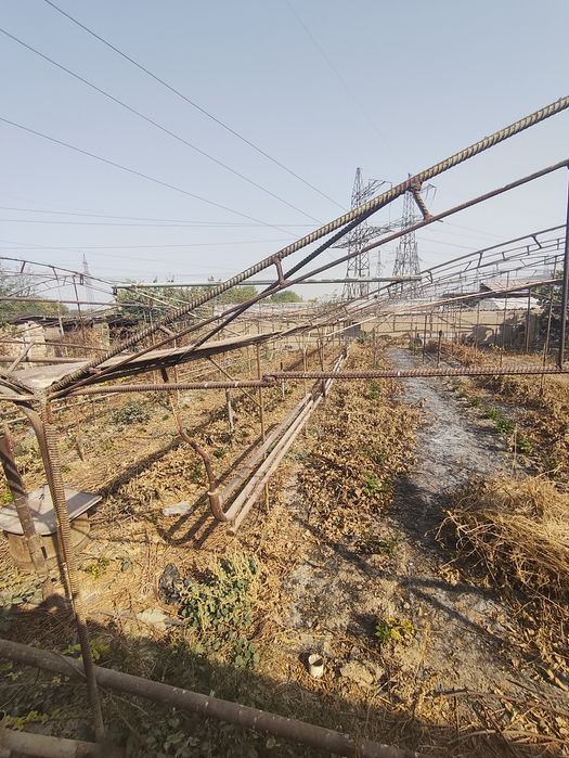 Teplitsa sotiladi 3,5sotix hamma narsalari bor
