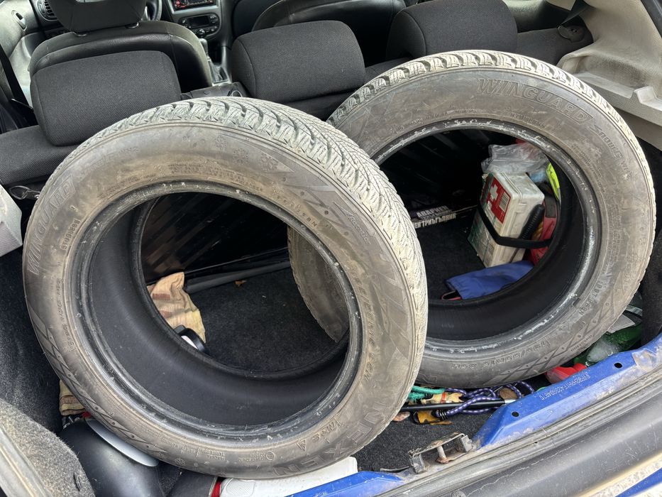 Зимни гуми Nexen 195/55/15