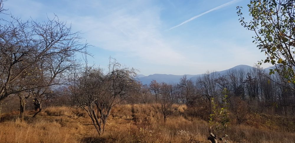 teren loturi pamant Piatra Neamt Scaricica Bisericani 16E/m2