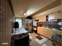Apartament 2 camere  Delavrancea