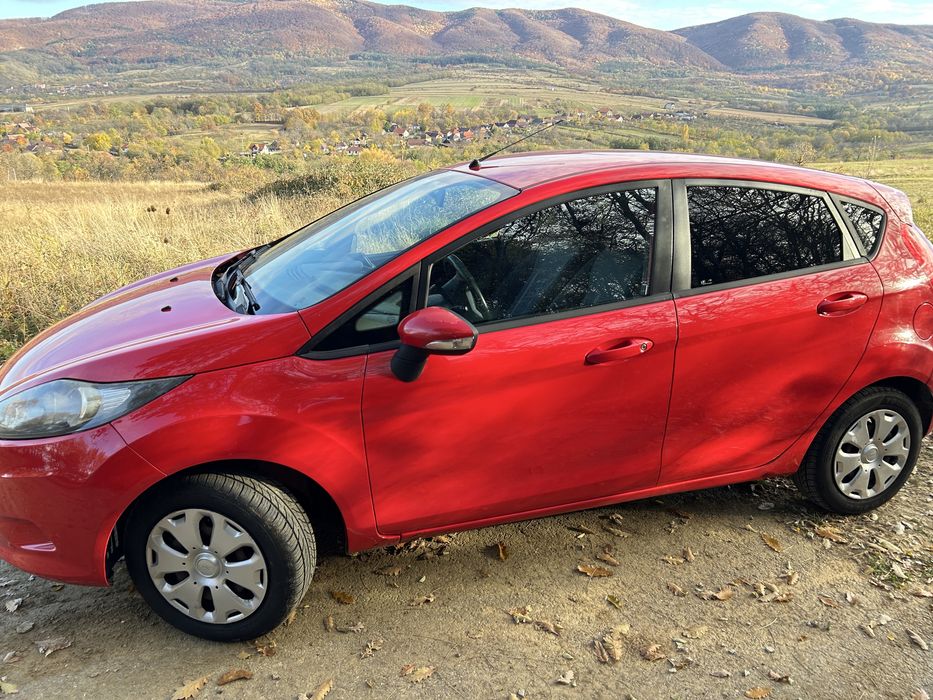 Vand Ford Fiesta 2009