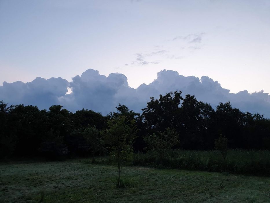 Casa de vanzare in Dridu-Ialomita, curte spatioasa, utilitati, 50km B