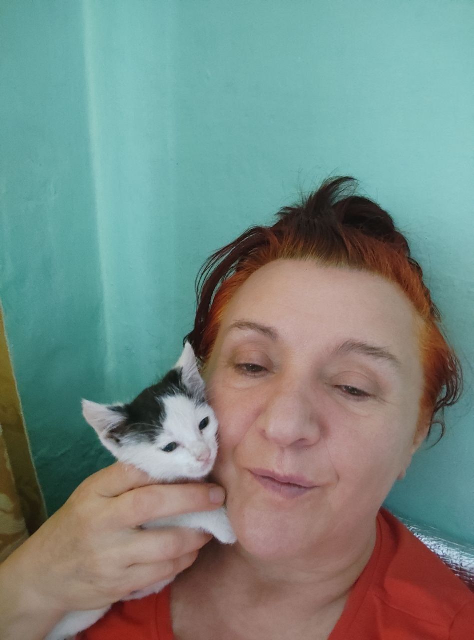 Котята отдаю полосатый и черно белый