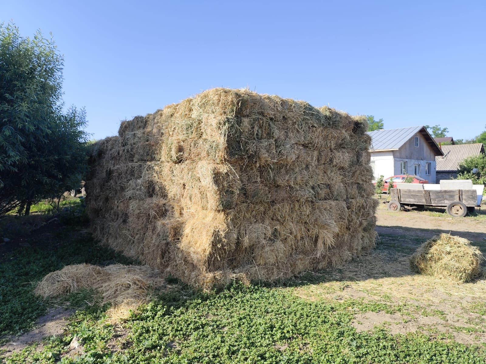 Vând baloți de ovăz