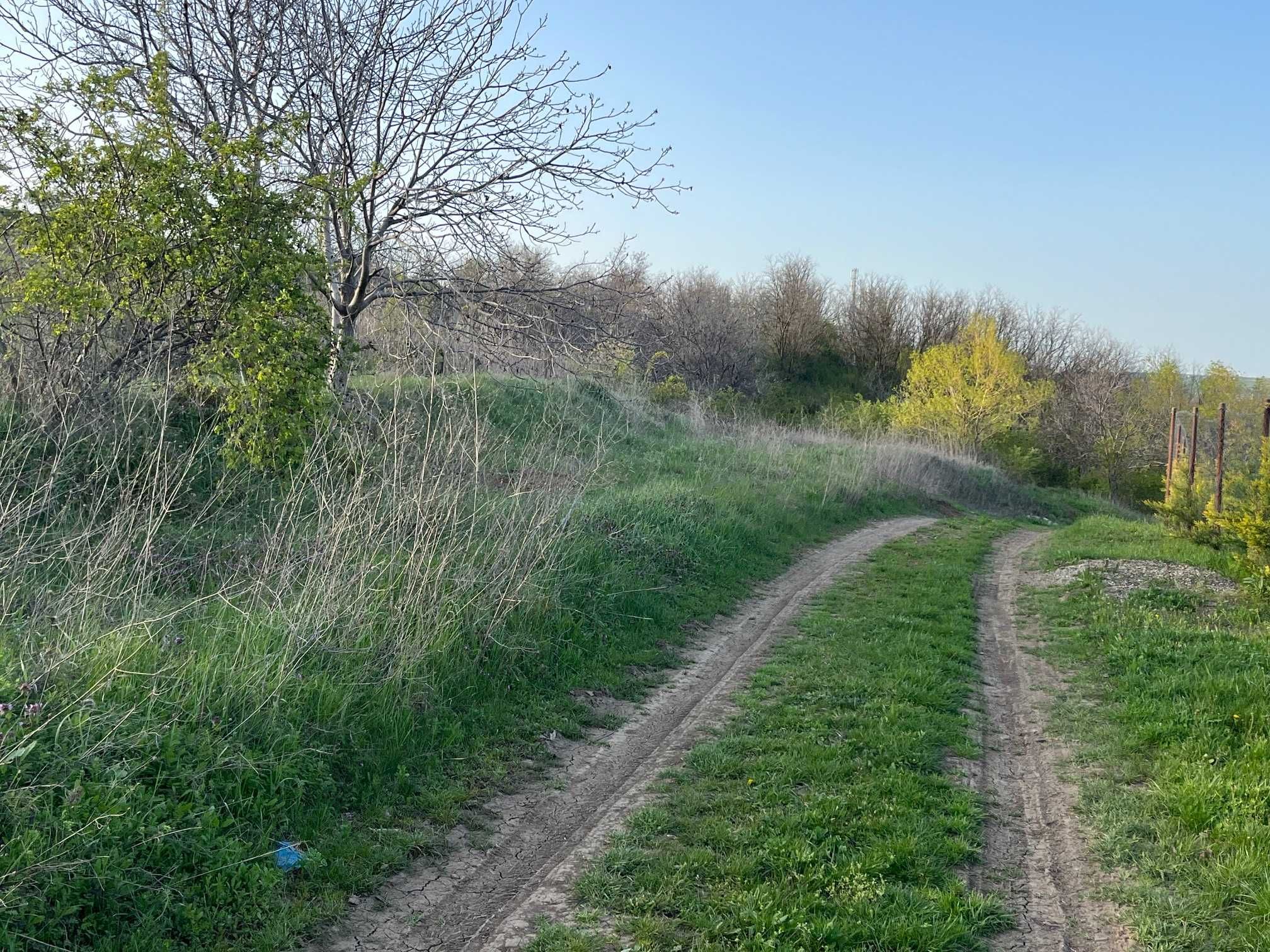 Teren extravilan 15000 mp Uricani Iasi