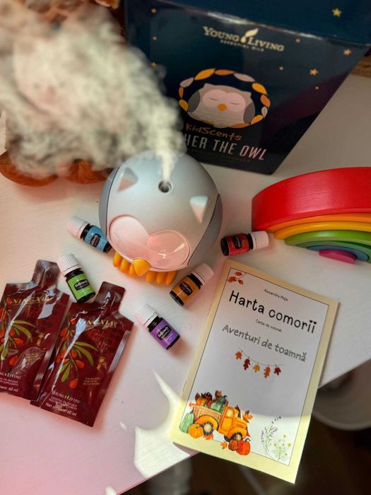 Difuzor+kit de uleiuri