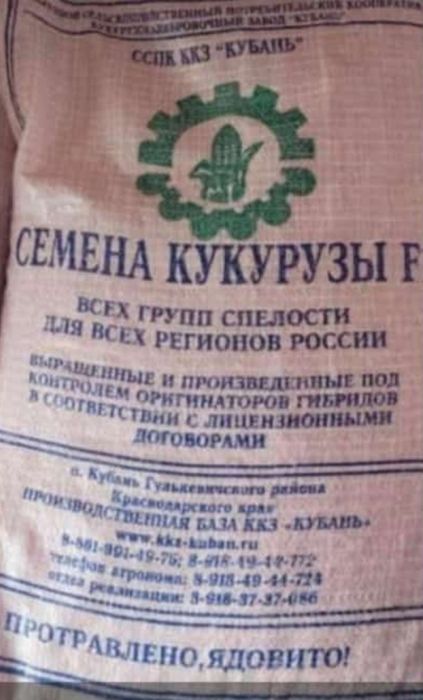Семена раннеспелой кукурузы