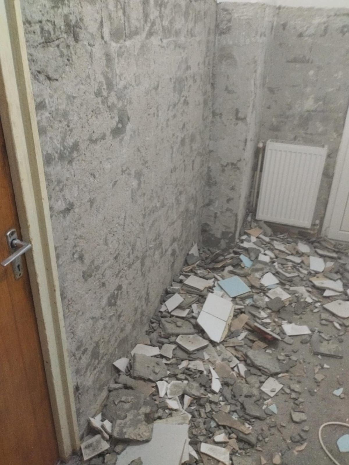 Ras pereți/moluz/demolări/ curățenie/golit subsoluri/var/vopsea