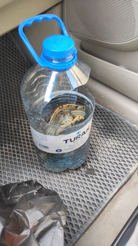 СРОЧНО отдадим черепаху!