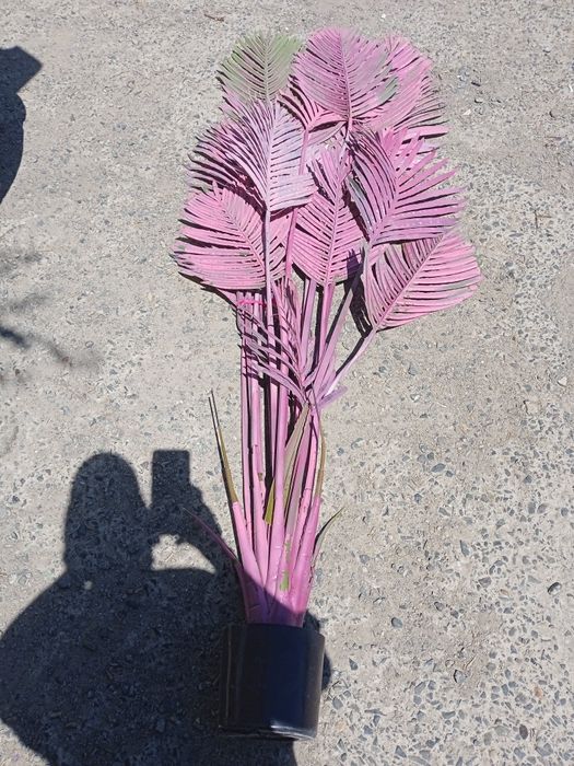 Цветок искусственный пальма высота 170