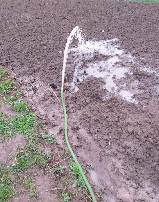Foraje puturi apa , prelungiri , denisipari , piloni