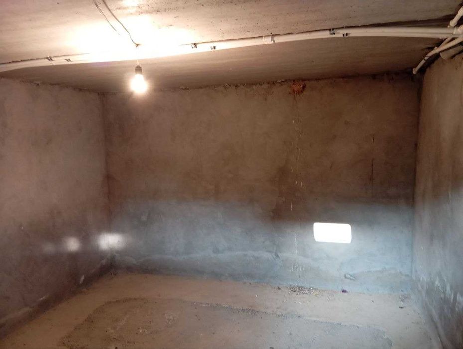 Новый Дом от ТТЗ Корзинка 4 км №Х38