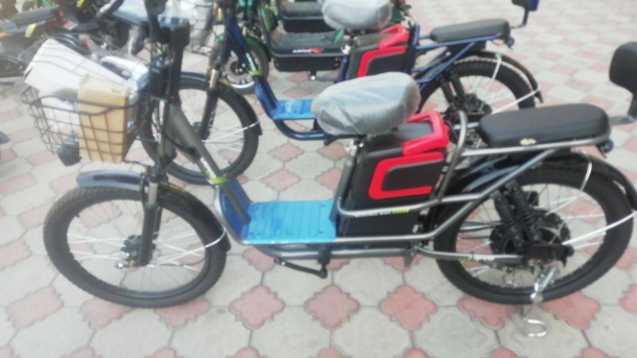 Elektrp velik Arivo700