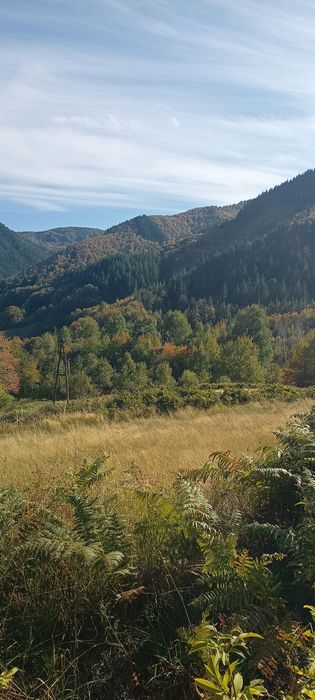 Продава се Земеделски имот в с. Сивино, Област Смолян -  кв.м за 1900 €/дка - Снимка #1