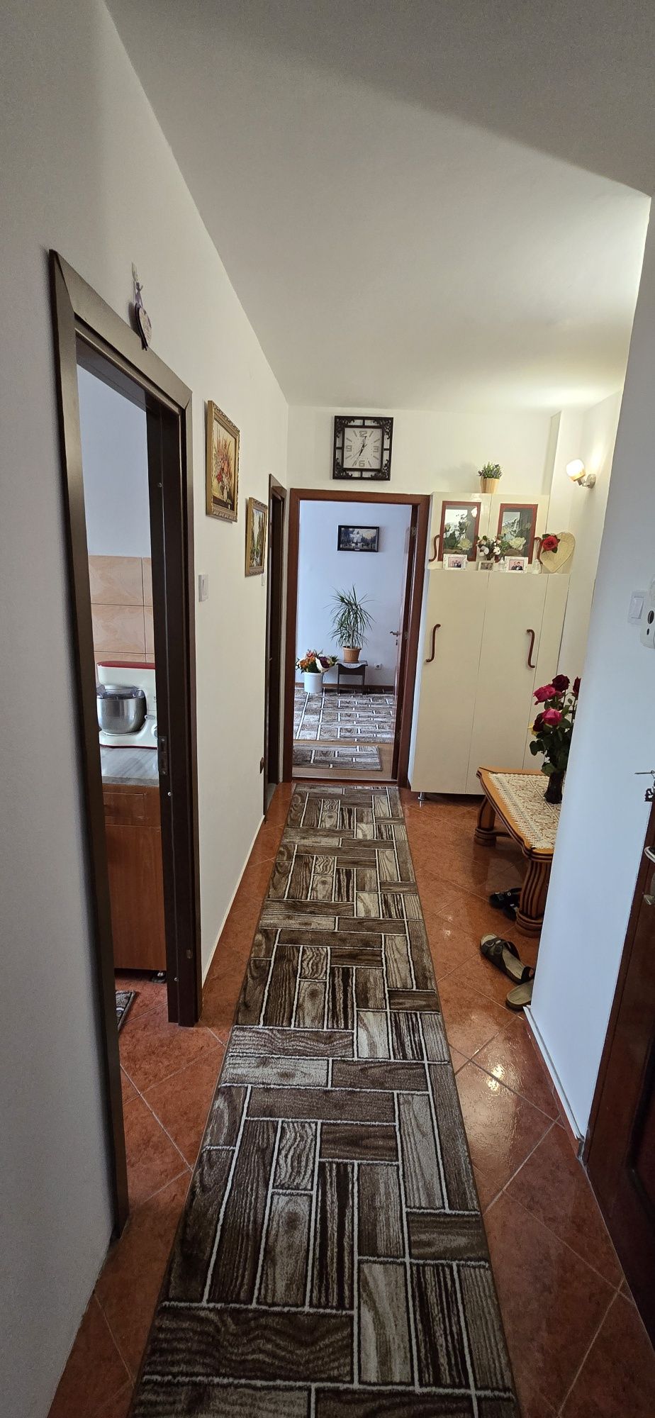 Apartament 3 cam Podu Ros - Palas
