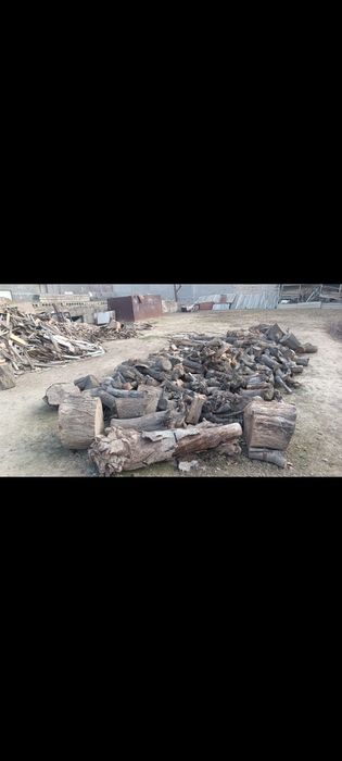 O‘tin bor daraht va tahta bo‘lagi