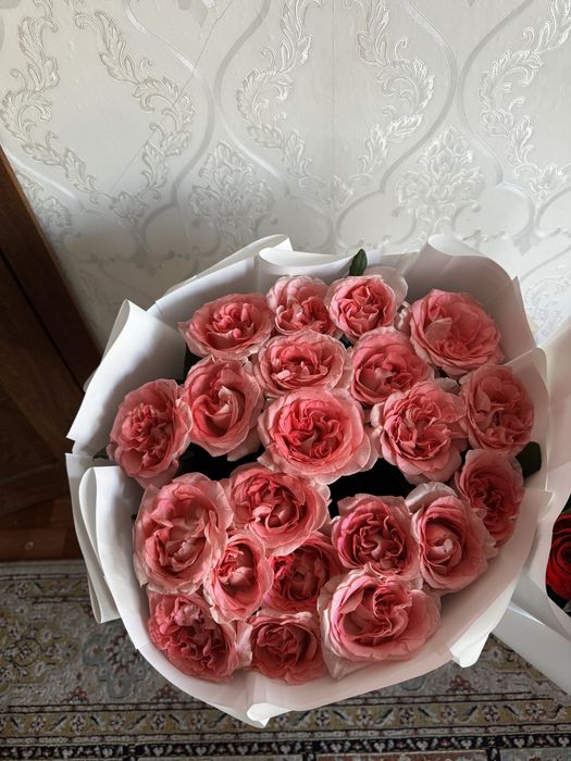 Продам цветы срочно свежие