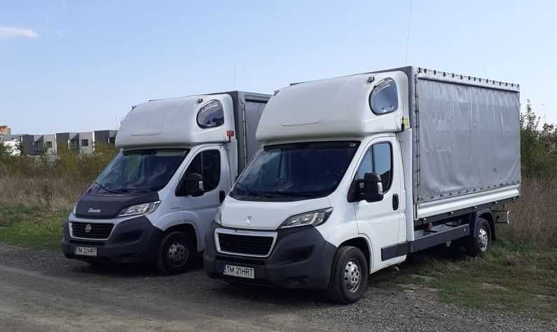Transport, Mutari, Relocari in Timisoara, Romania, Europa