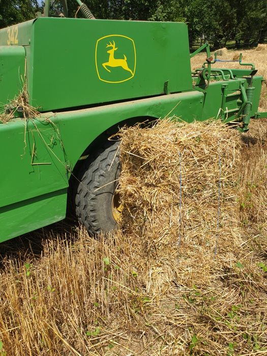 Baloti paie cu mohor si de fan