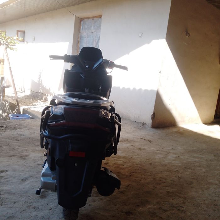 Matasikil yangi kaska perchatka axvoli yaxshi