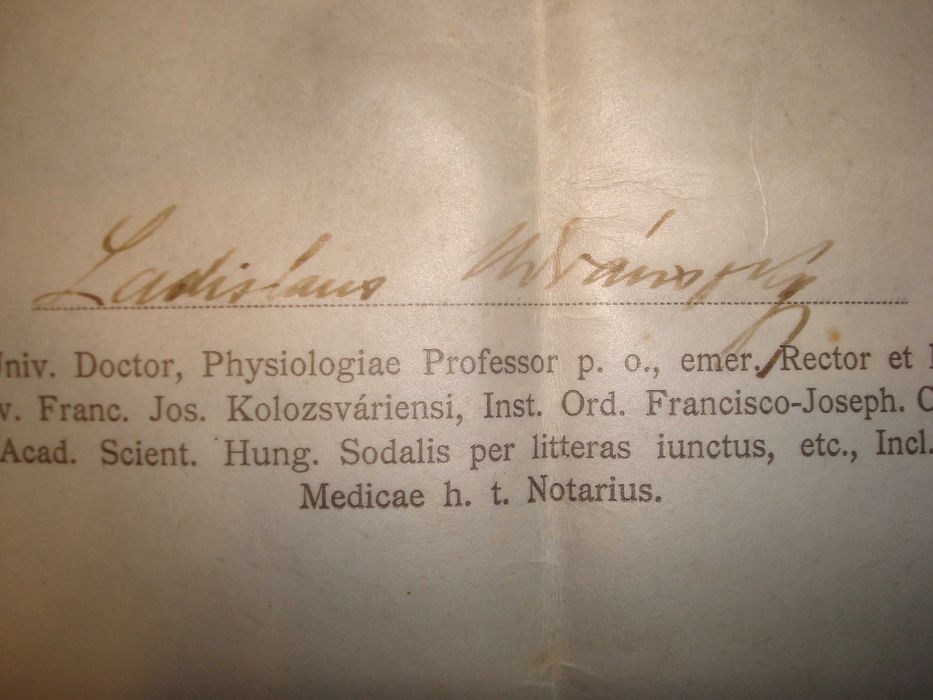 Diploma medicina-farmacie-Universitatea Budapesta- Austro Ungar-1913