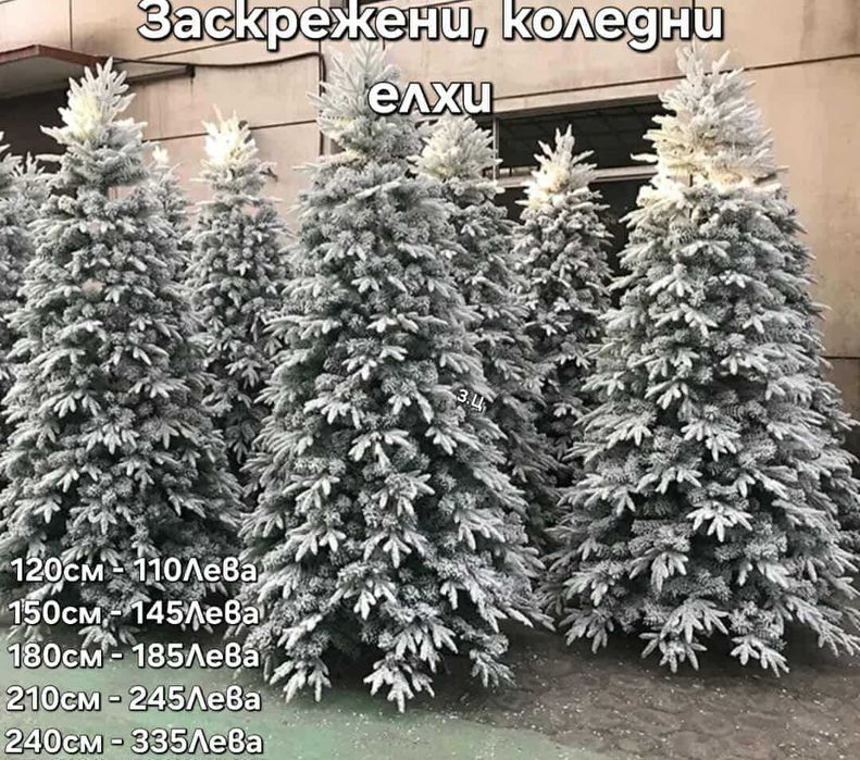 Коледни елхи, няколко варианта