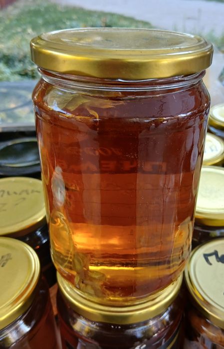 Домашен мед 2025.г