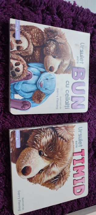 Set 3 Cărticele copii 12 luni +