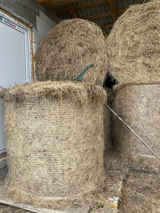 Vand baloti de otava, fan si ghizdei