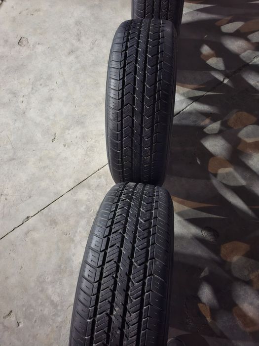 Diska balon. ,jentra saka arginal