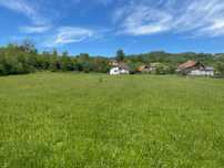 Casa de vanzare sat Ribița cu 50 de ari de teren