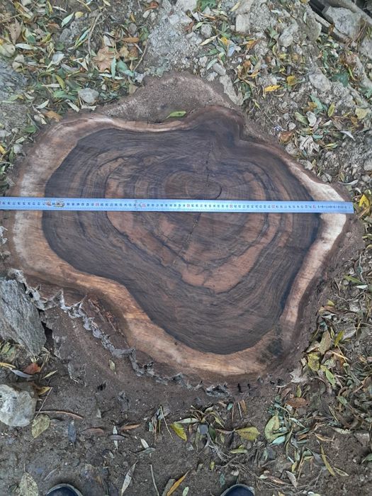 Rondele nuc. PRET SUPER BUN