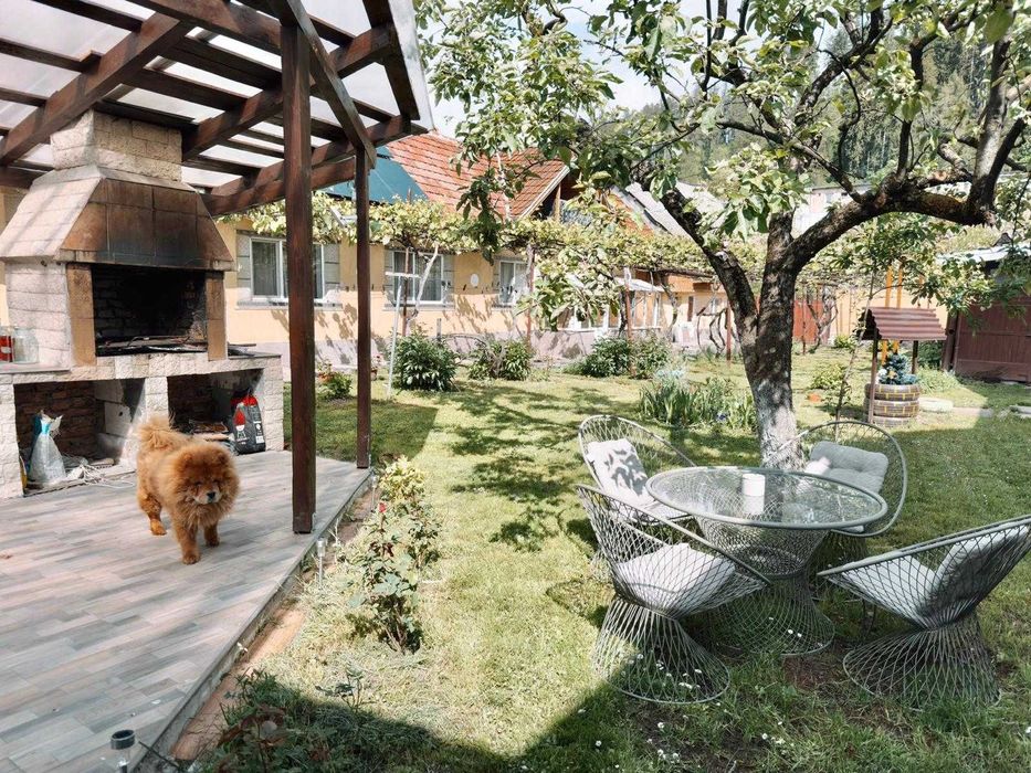 inchiriez apartament intr-o casa cu curte comuna si parcare