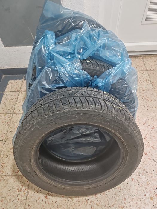 Cauciucuri de Iarna Pirelli 205 60 R16
