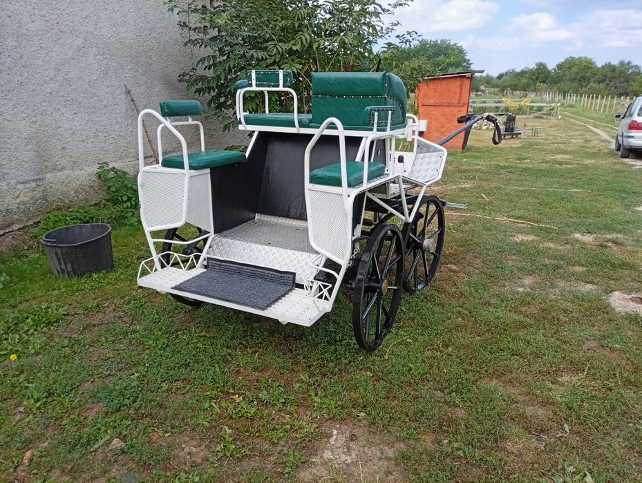 Trasura  maraton