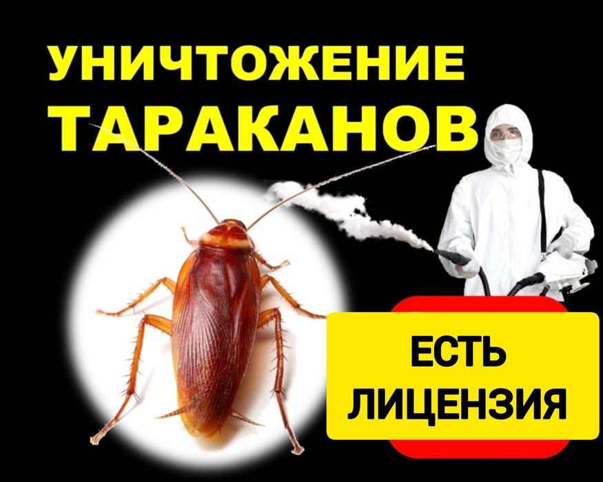 Дезинфекция тараканов Семей  СЭС