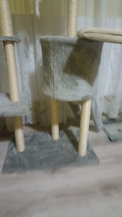 Ansamblu de joaca pisici