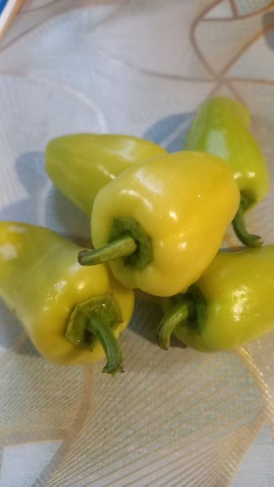 Продам дачу (зимний вариант)