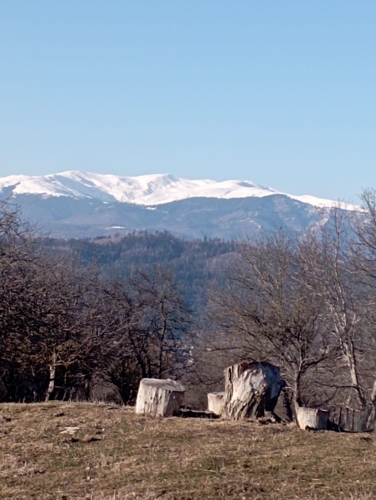 Casa de Vanzare in Campulung Muscel